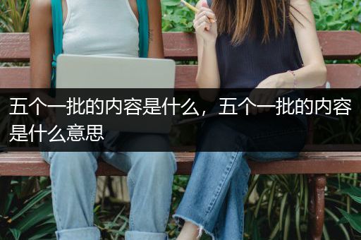 五个一批的内容是什么，五个一批的内容是什么意思